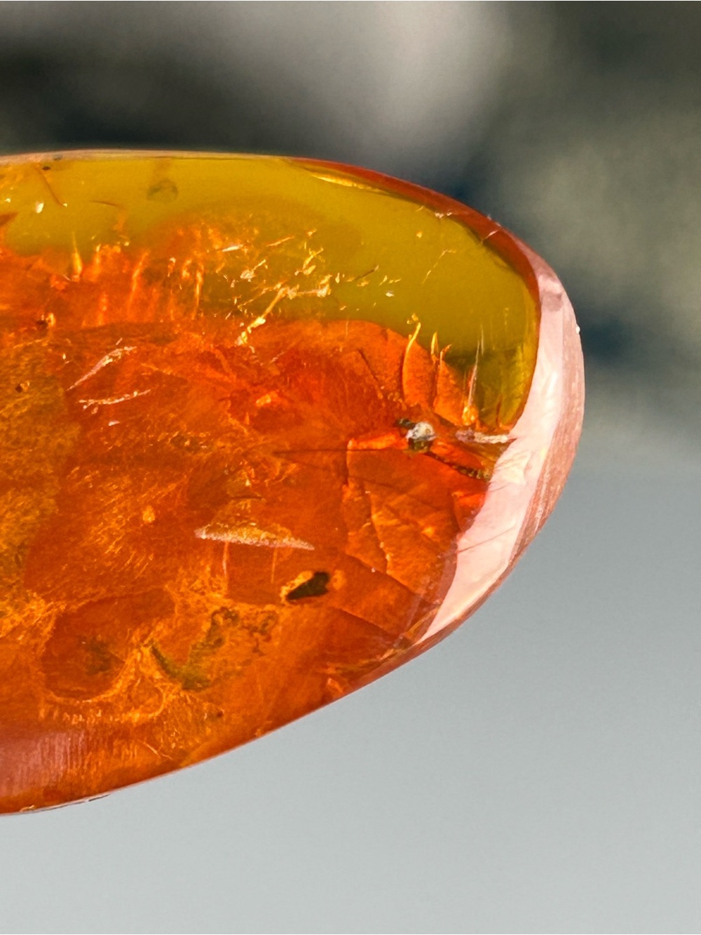 Poland Vintage Baltic Amber Insect Fossil Inclusion Huge Teardrop Pendant - Picture 10 of 17